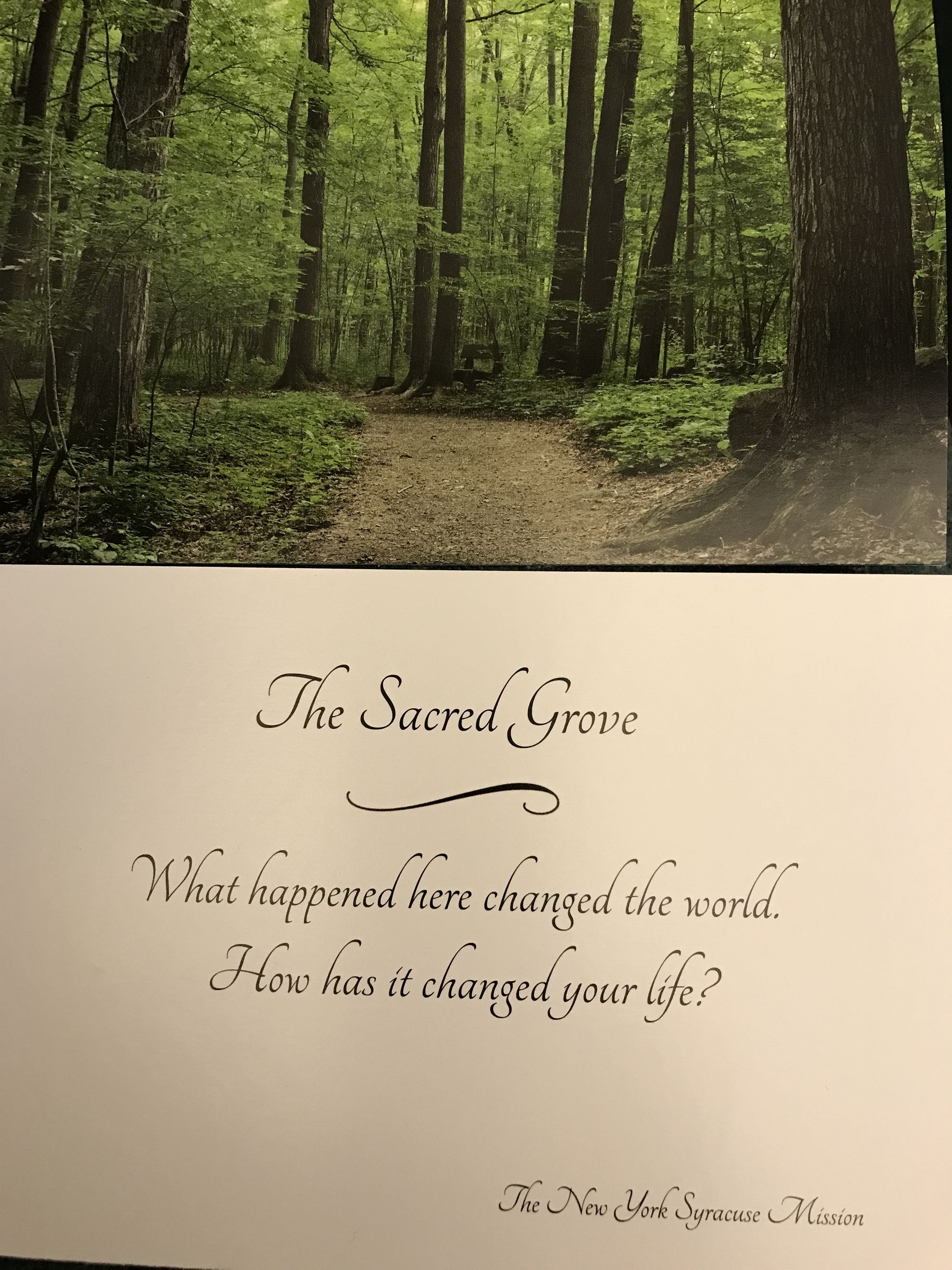 What Happened in the Sacred Grove Changed the World...